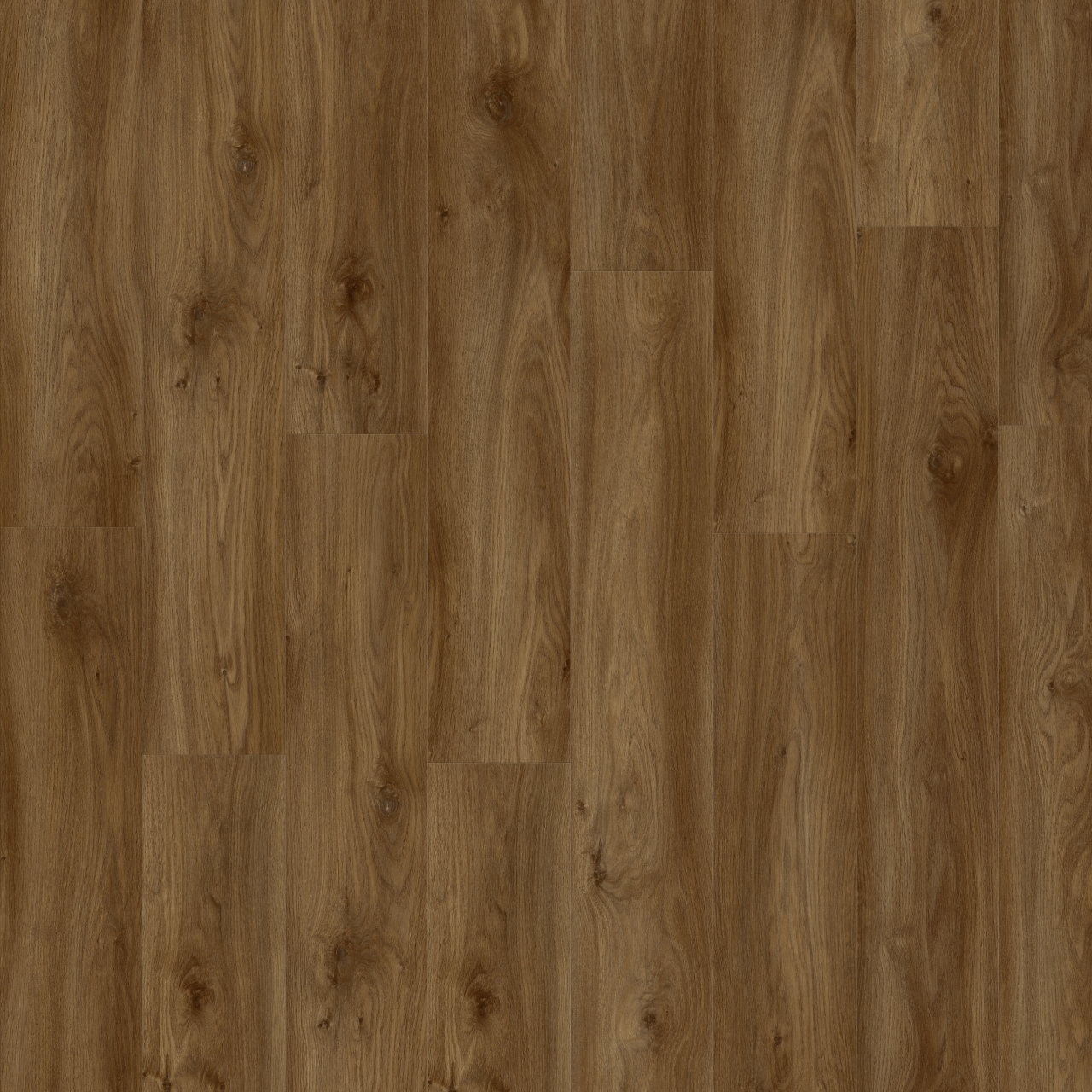 Moduleo - Roots - MODROOSIE58876STP - Sierra Oak 58876